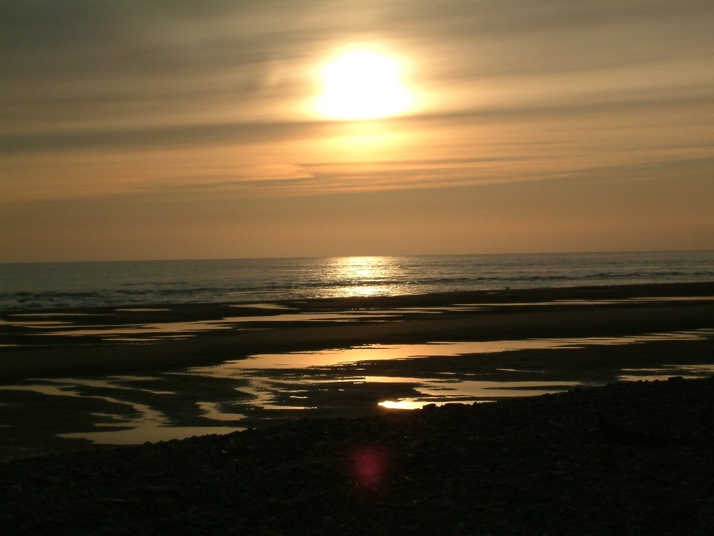 Click now to see this image full size.