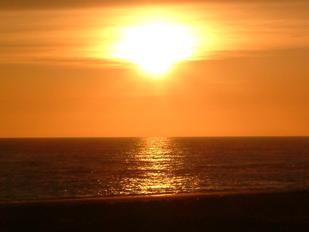 Click now to see this image full size.