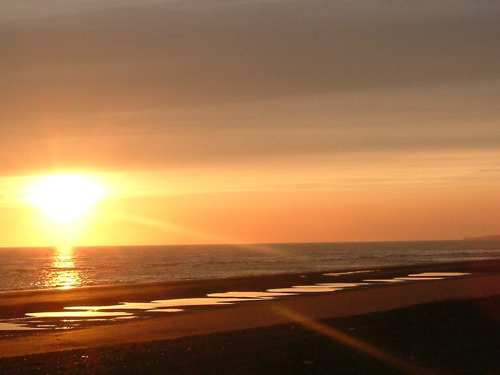 Click now to see this image full size.