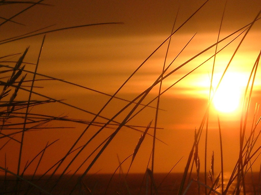 Click now to see this image full size.