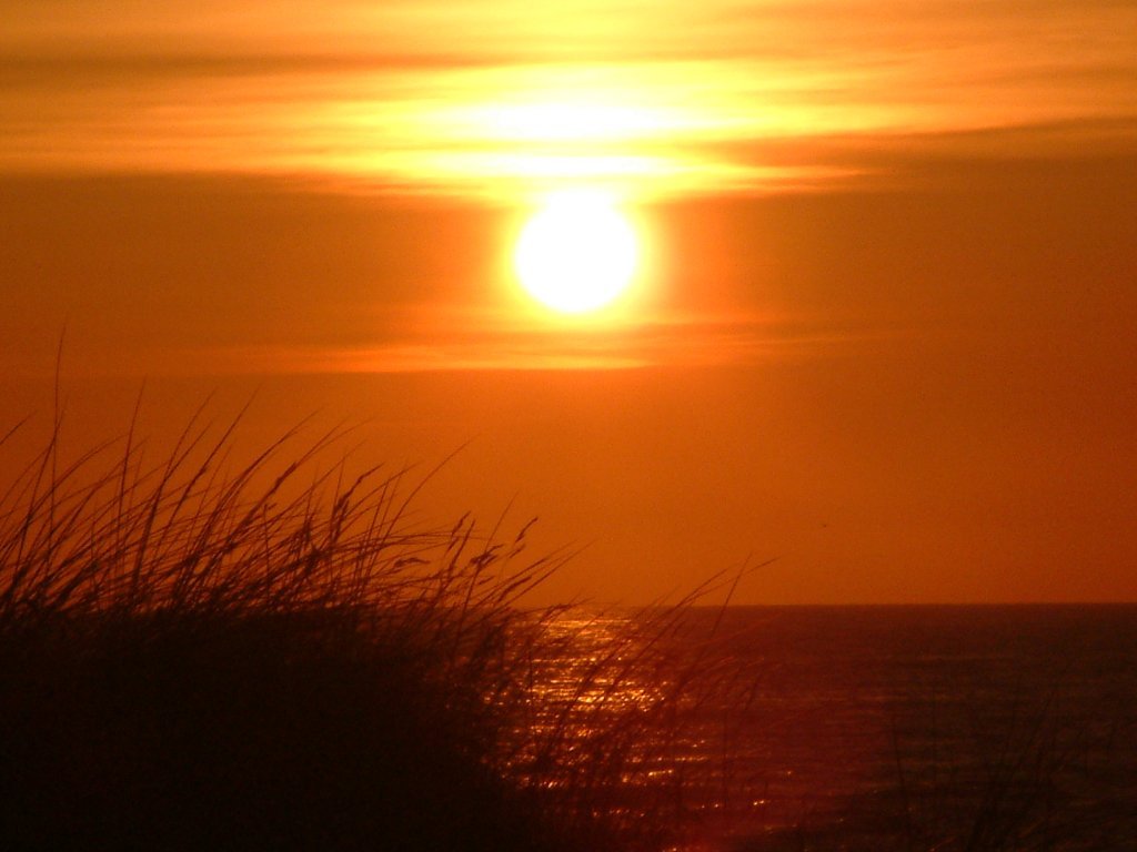 Click now to see this image full size.