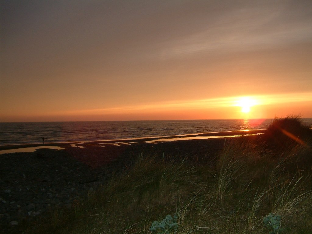 Click now to see this image full size.