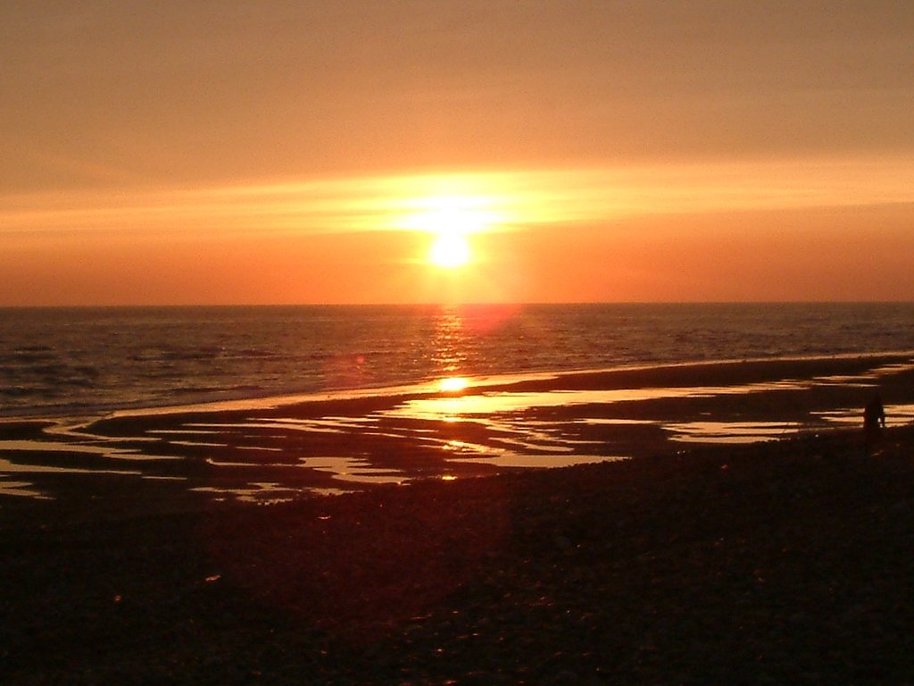 Click now to see this image full size.