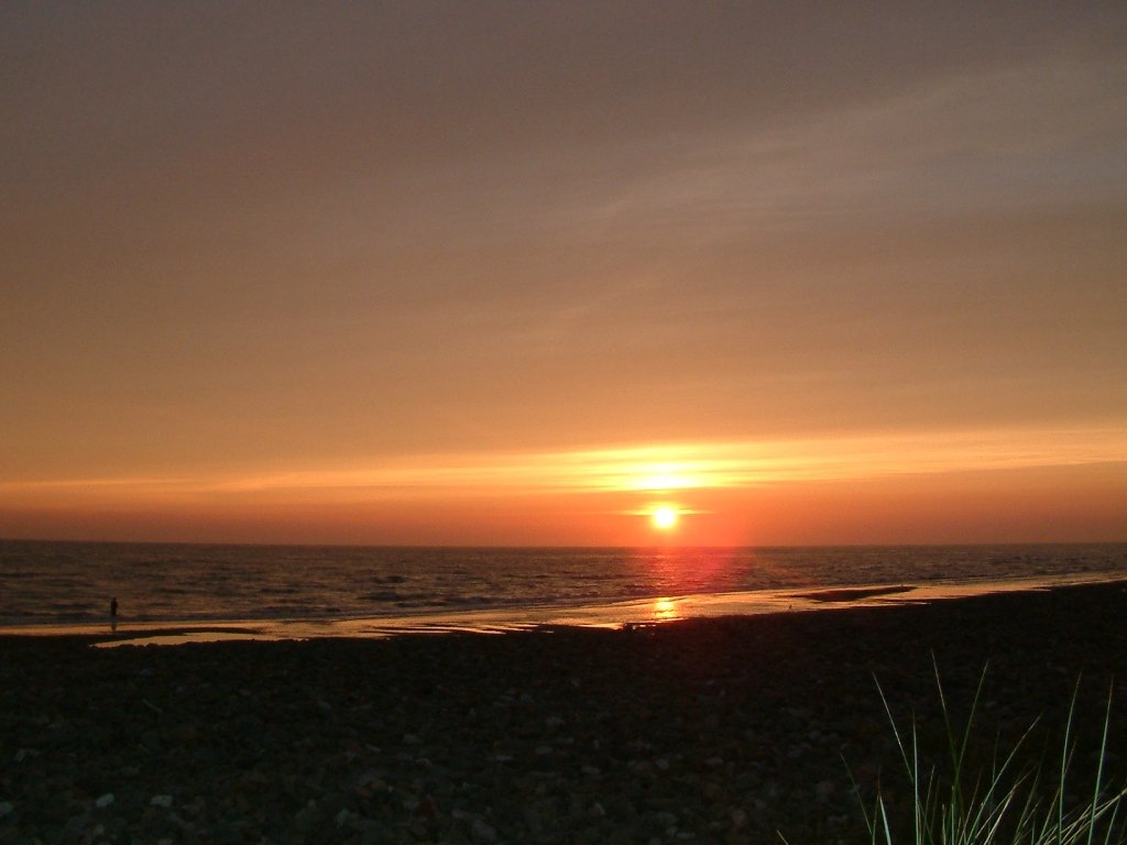 Click now to see this image full size.