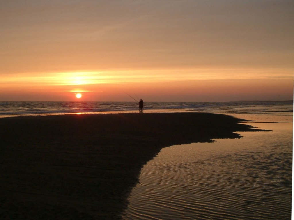 Click now to see this image full size.