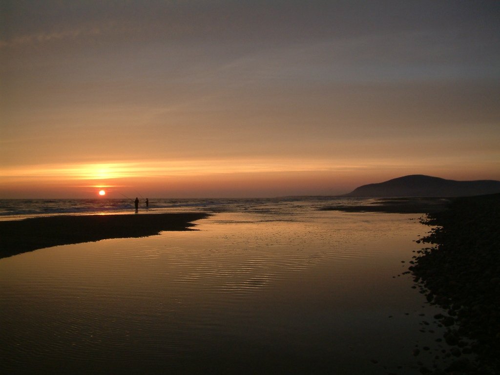 Click now to see this image full size.