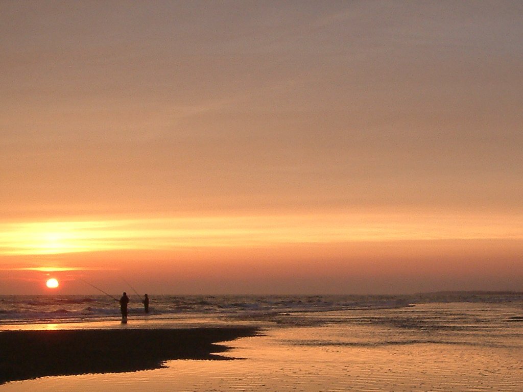 Click now to see this image full size.