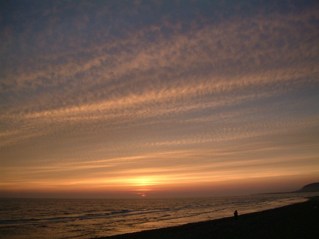 Click now to see this image full size.