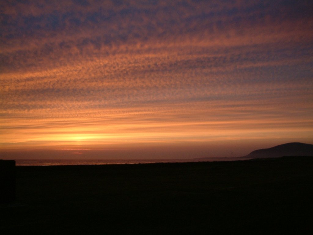 Click now to see this image full size.