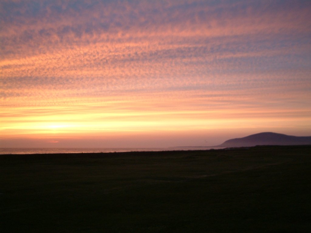 Click now to see this image full size.