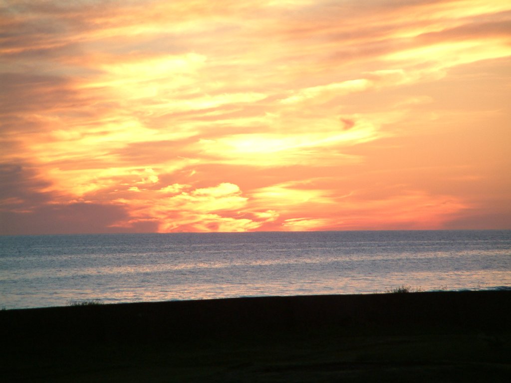 Click now to see this image full size.