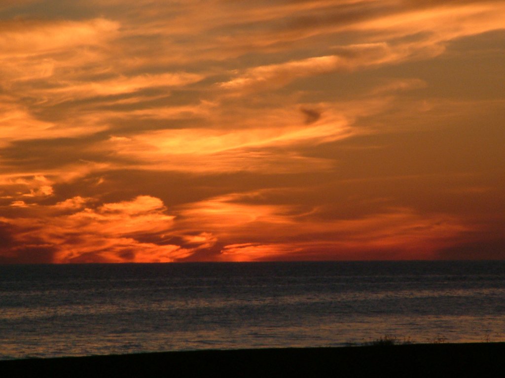 Click now to see this image full size.