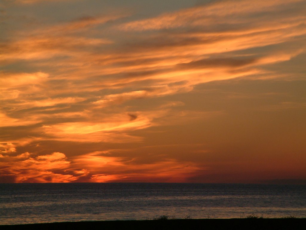 Click now to see this image full size.