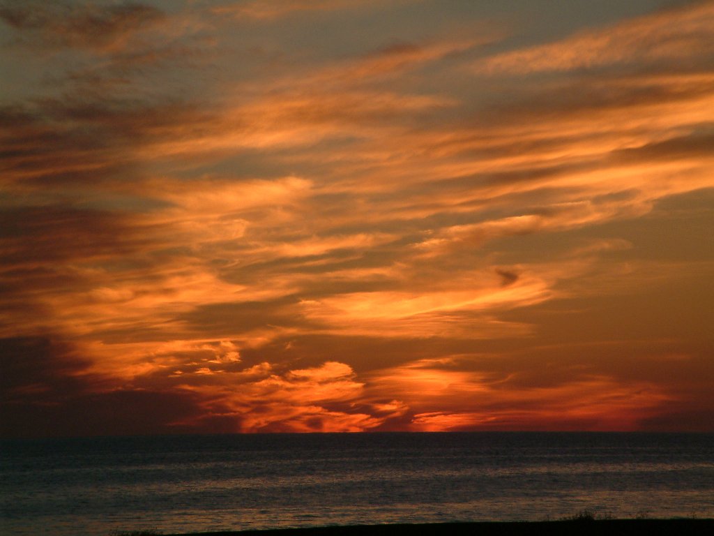 Click now to see this image full size.