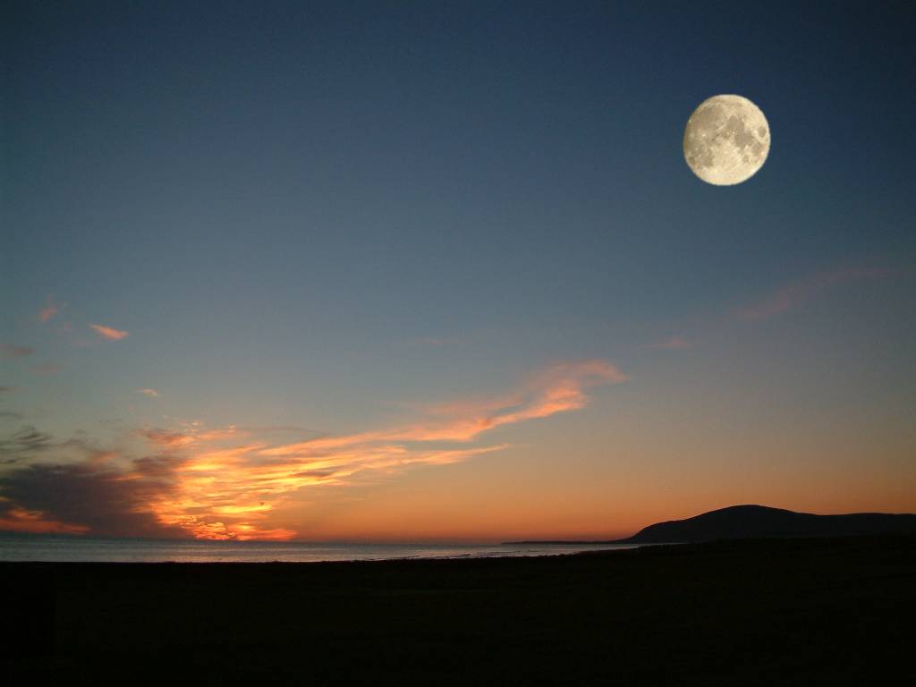 Click now to see this image full size.