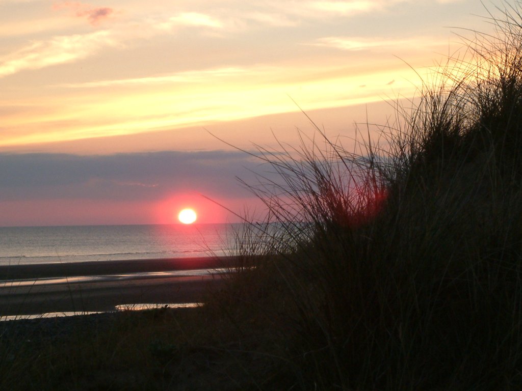 Click now to see this image full size.