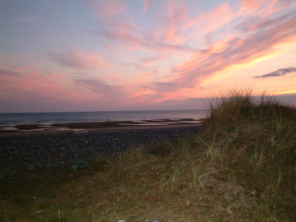 Click now to see this image full size.