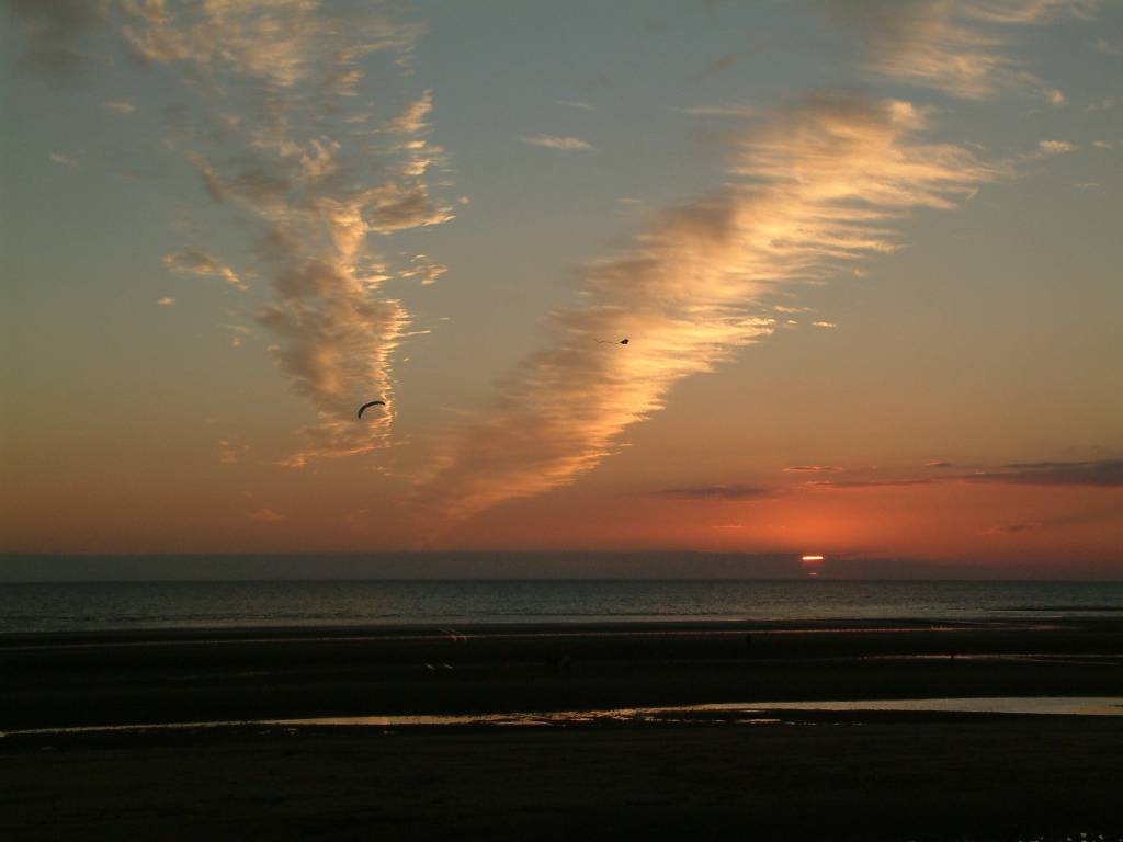 Click now to see this image full size.