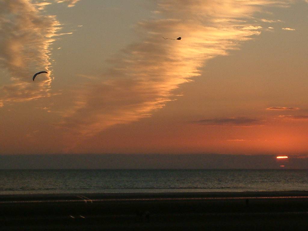 Click now to see this image full size.