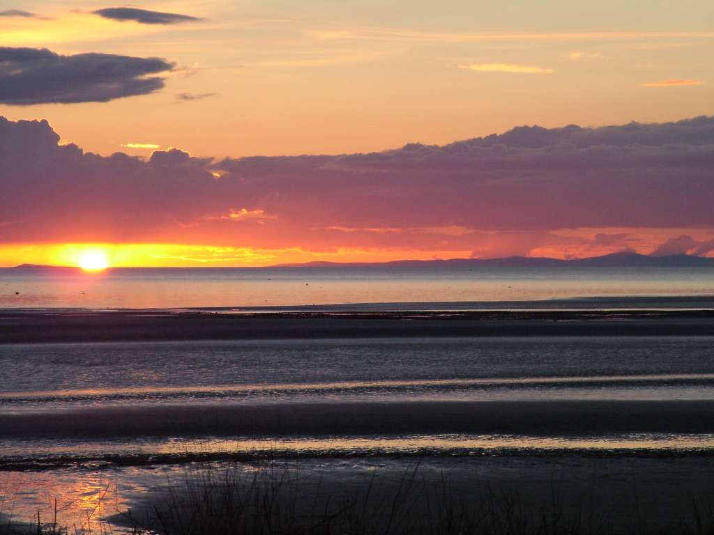 Click now to see this image full size.