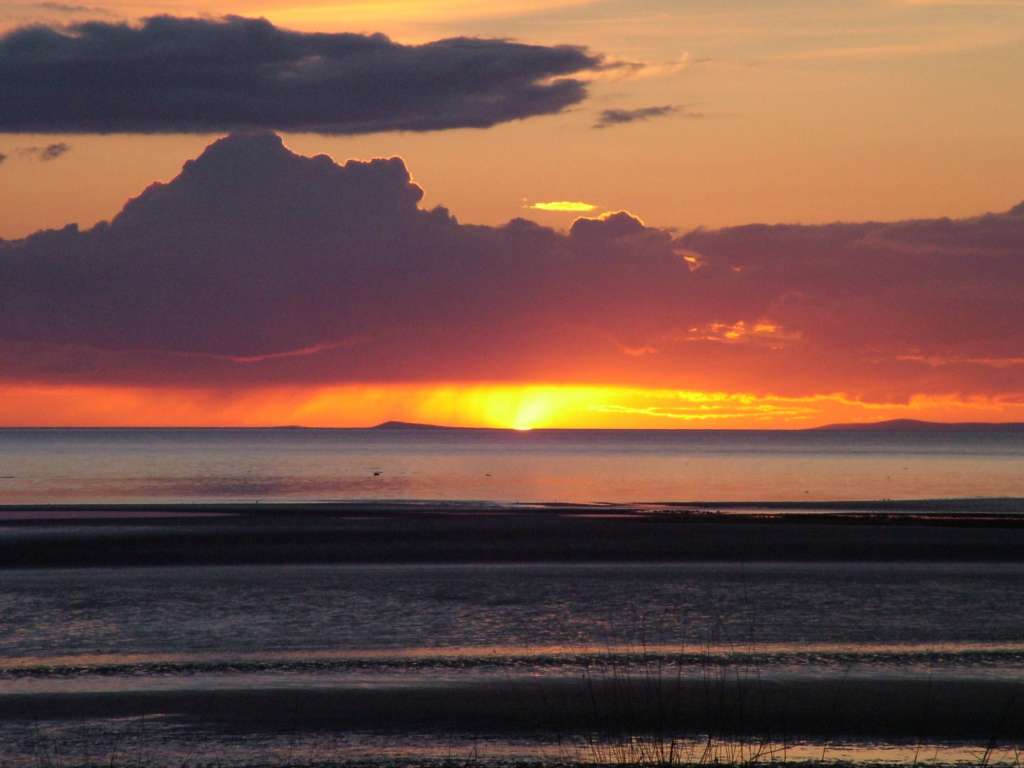 Click now to see this image full size.