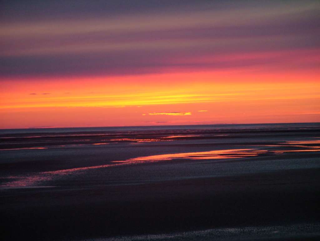 Click now to see this image full size.