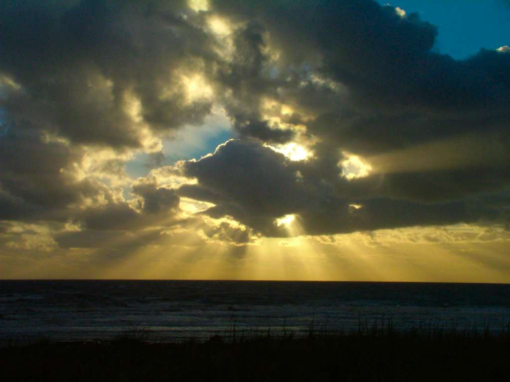 Click now to see this image full size.