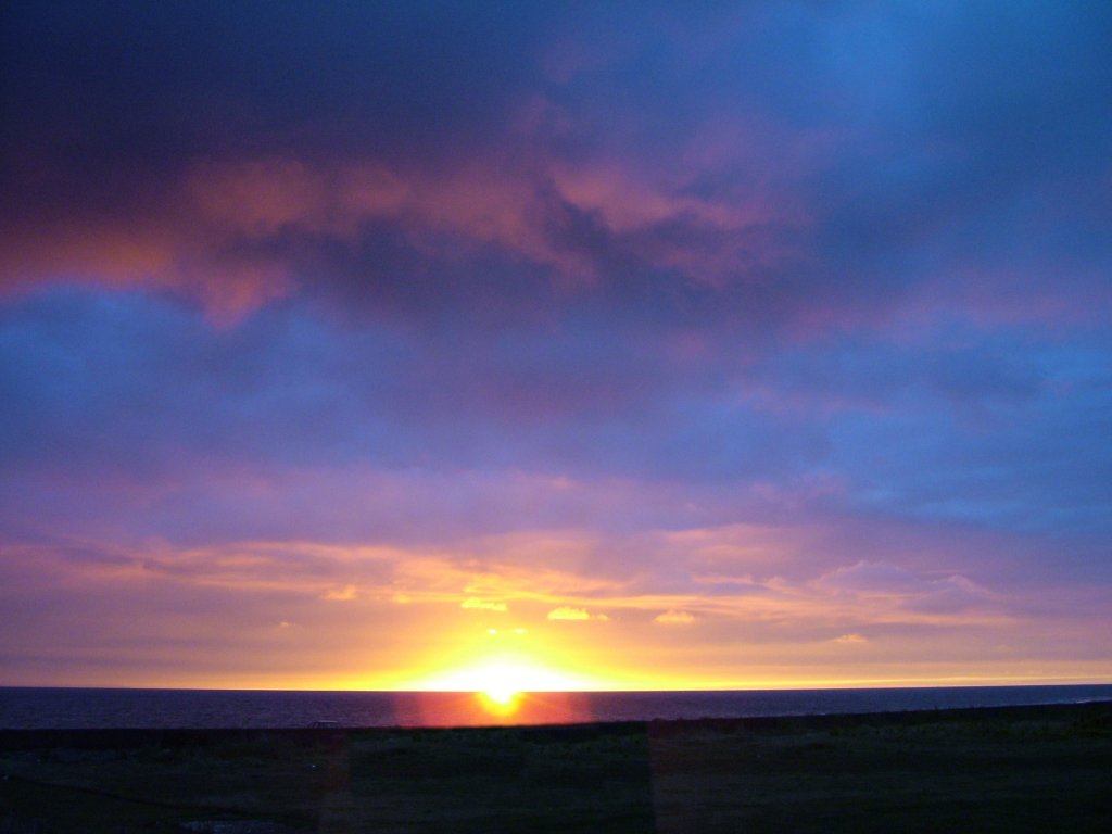 Click now to see this image full size.