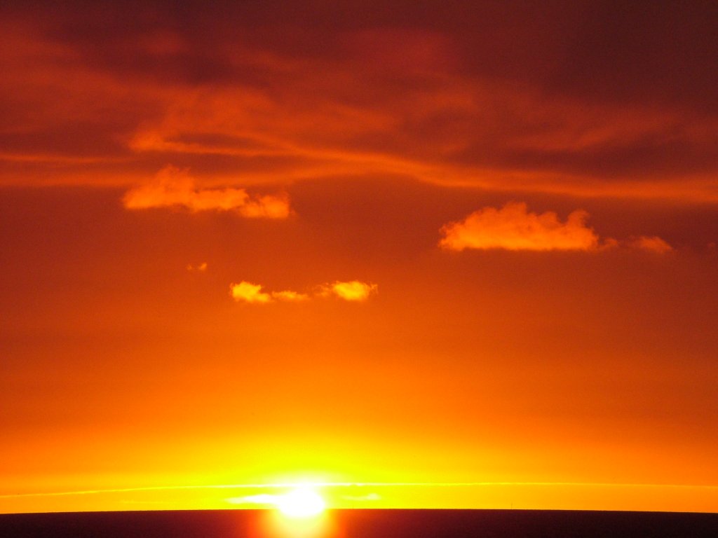 Click now to see this image full size.