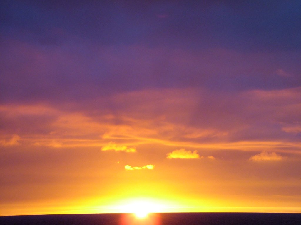 Click now to see this image full size.