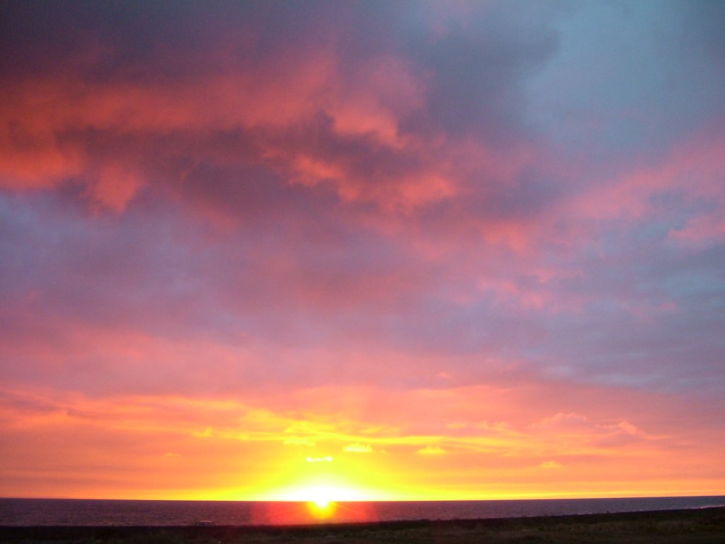 Click now to see this image full size.