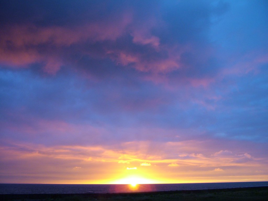 Click now to see this image full size.