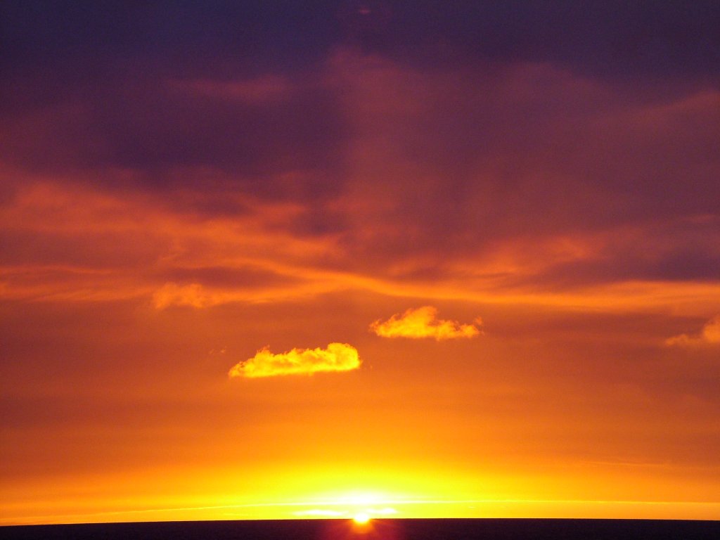 Click now to see this image full size.