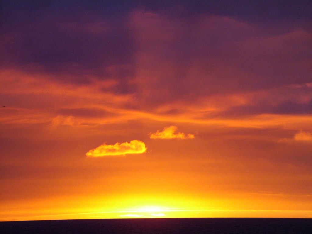 Click now to see this image full size.