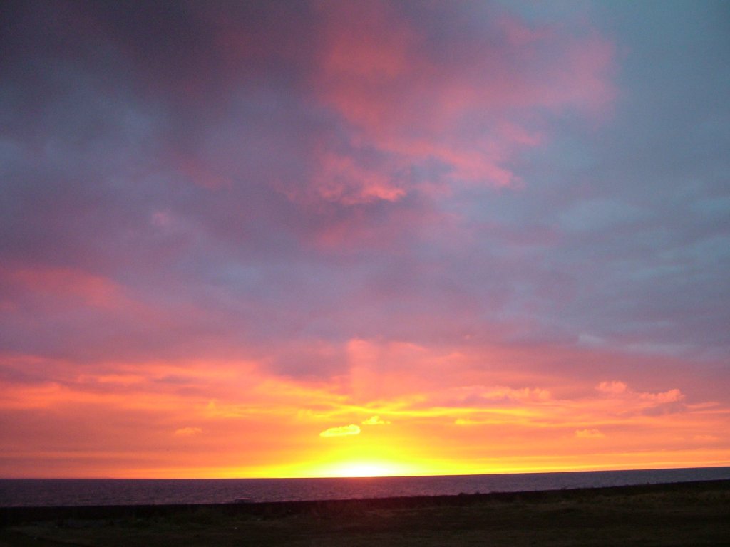 Click now to see this image full size.