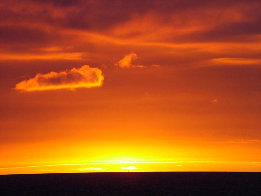 Click now to see this image full size.