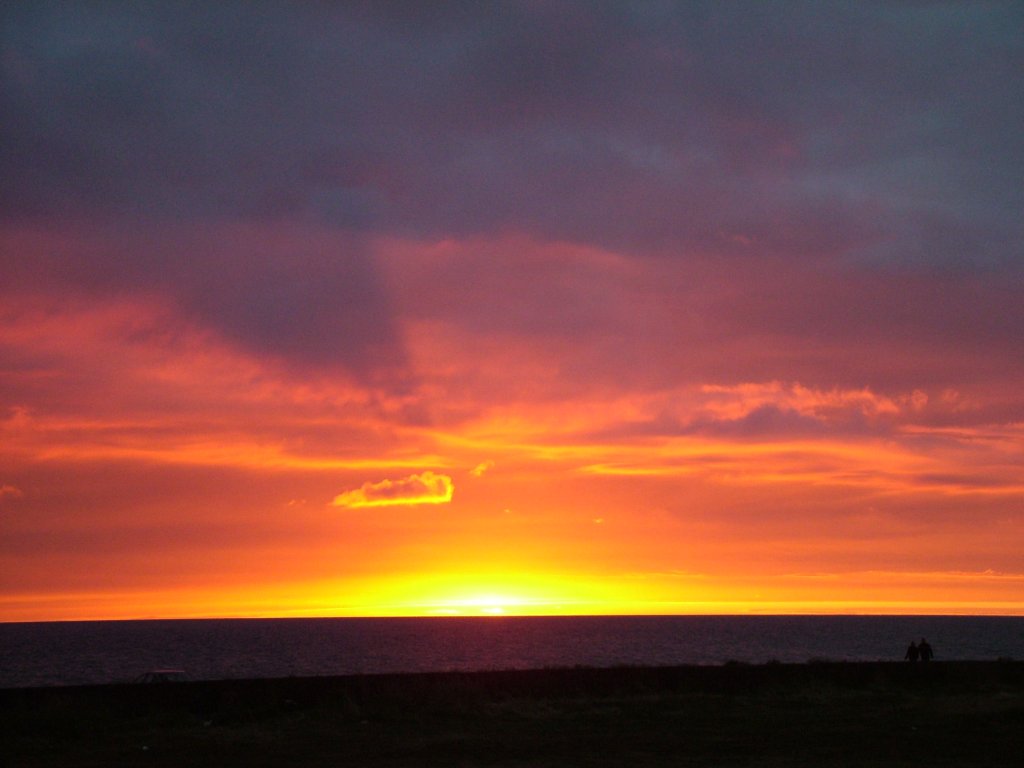 Click now to see this image full size.