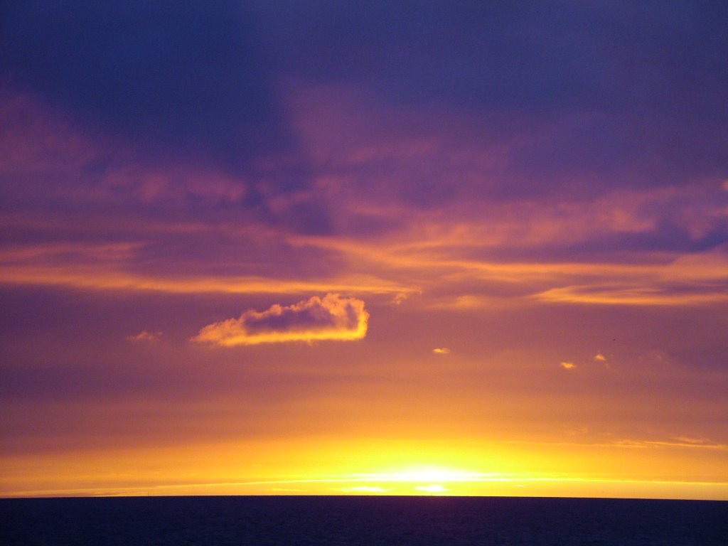 Click now to see this image full size.