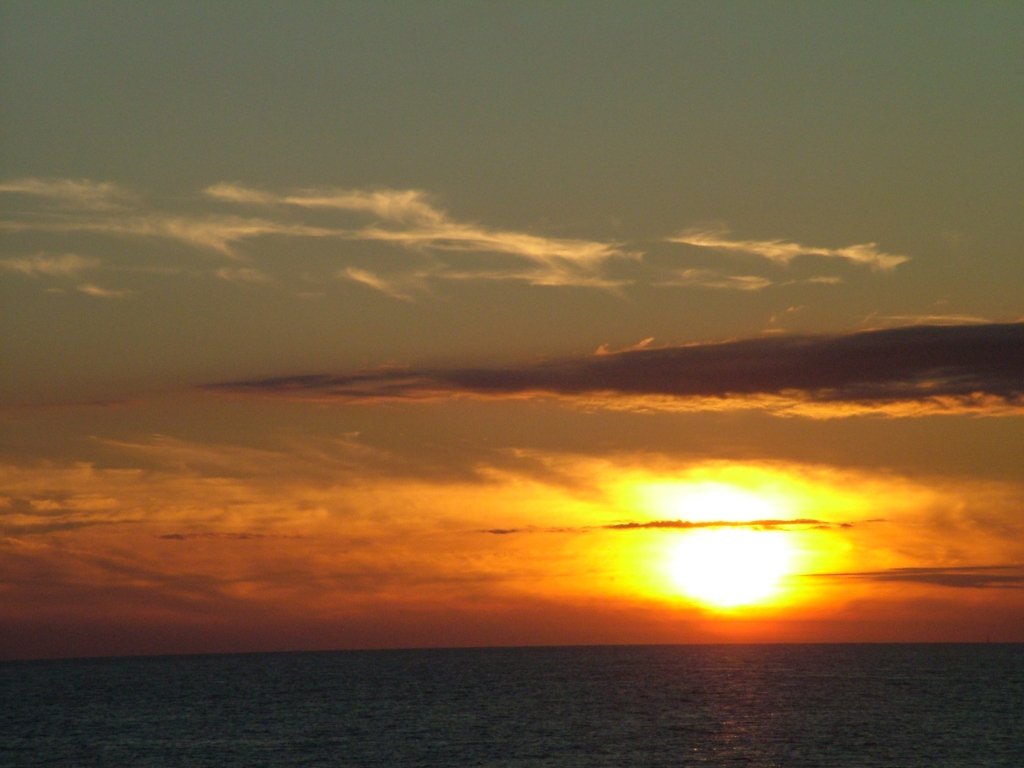 Click now to see this image full size.