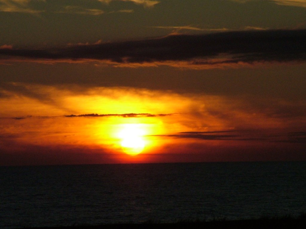 Click now to see this image full size.