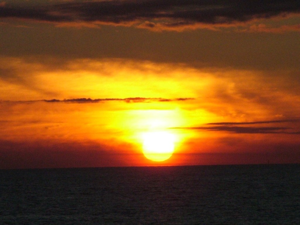 Click now to see this image full size.