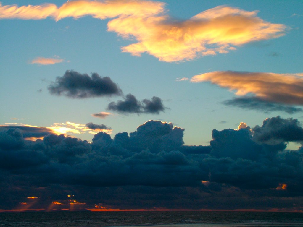 Click now to see this image full size.