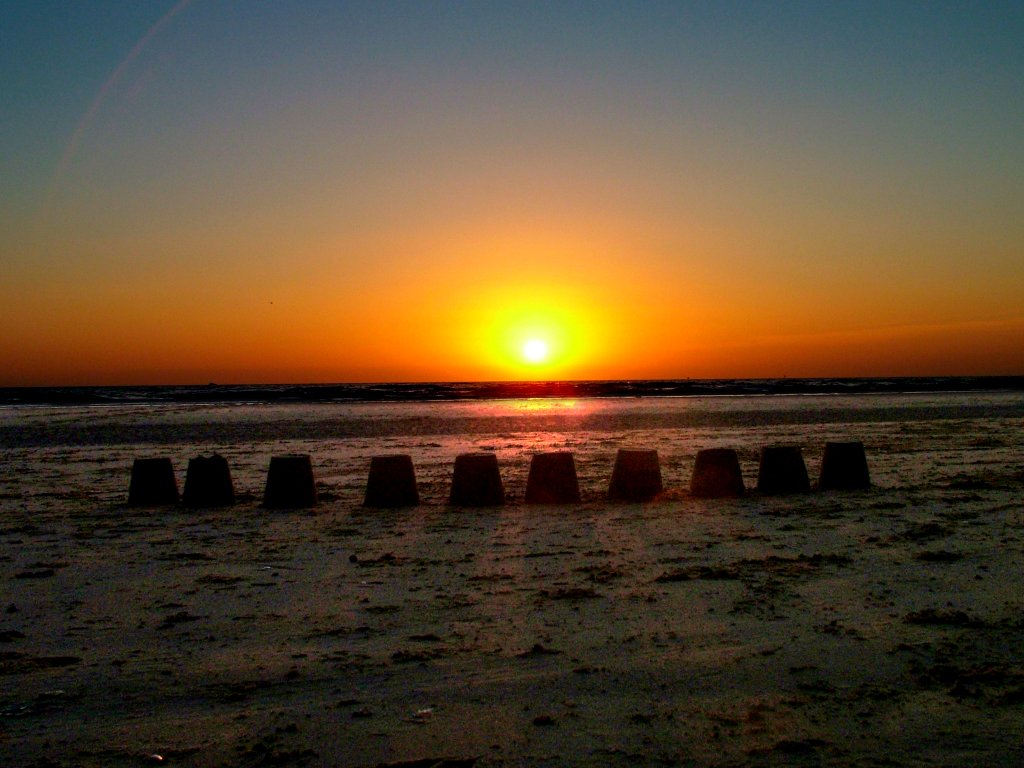 Click now to see this image full size.