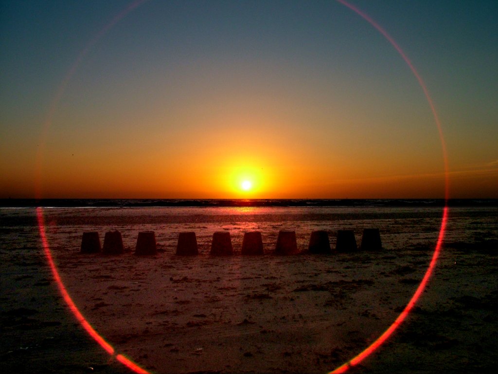 Click now to see this image full size.