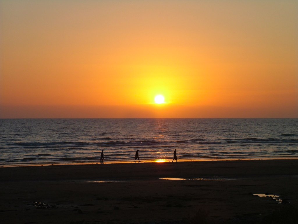 Click now to see this image full size.