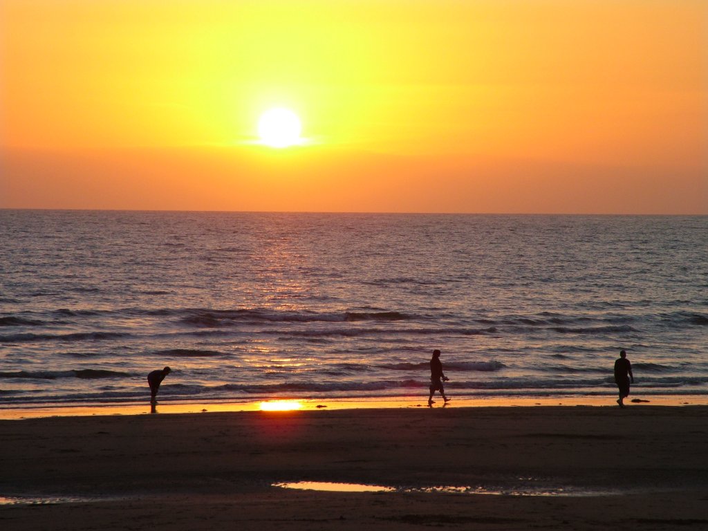 Click now to see this image full size.