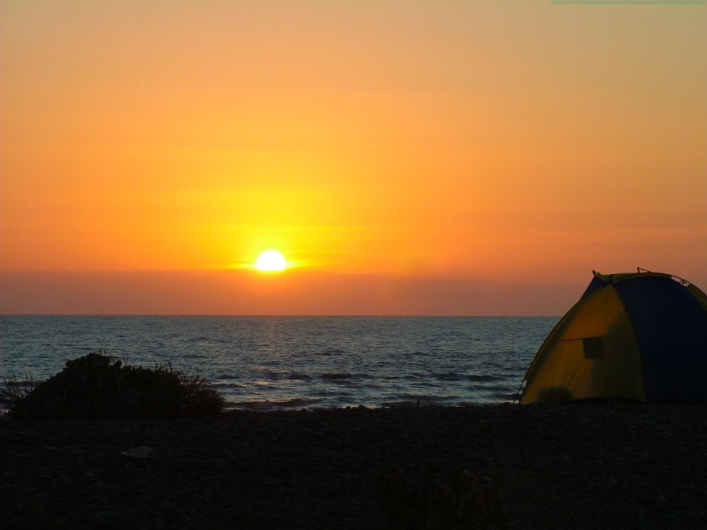 Click now to see this image full size.