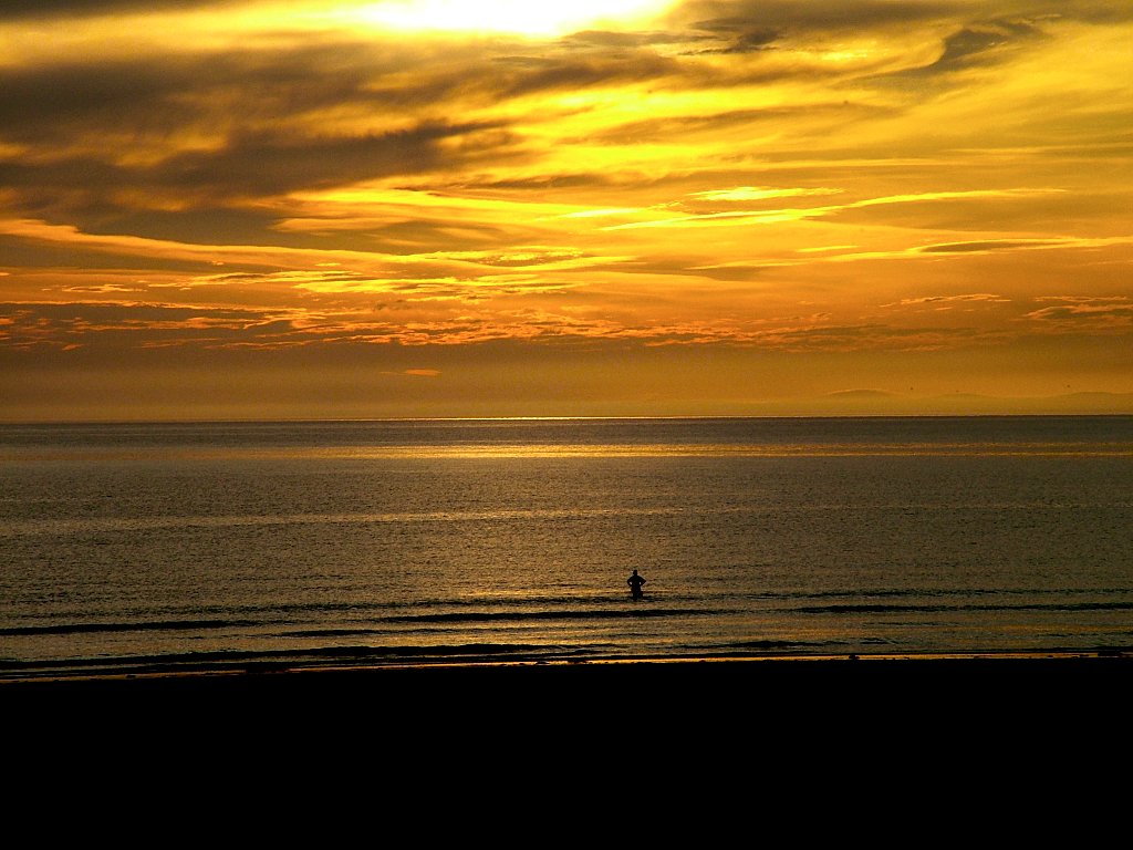 Click now to see this image full size.