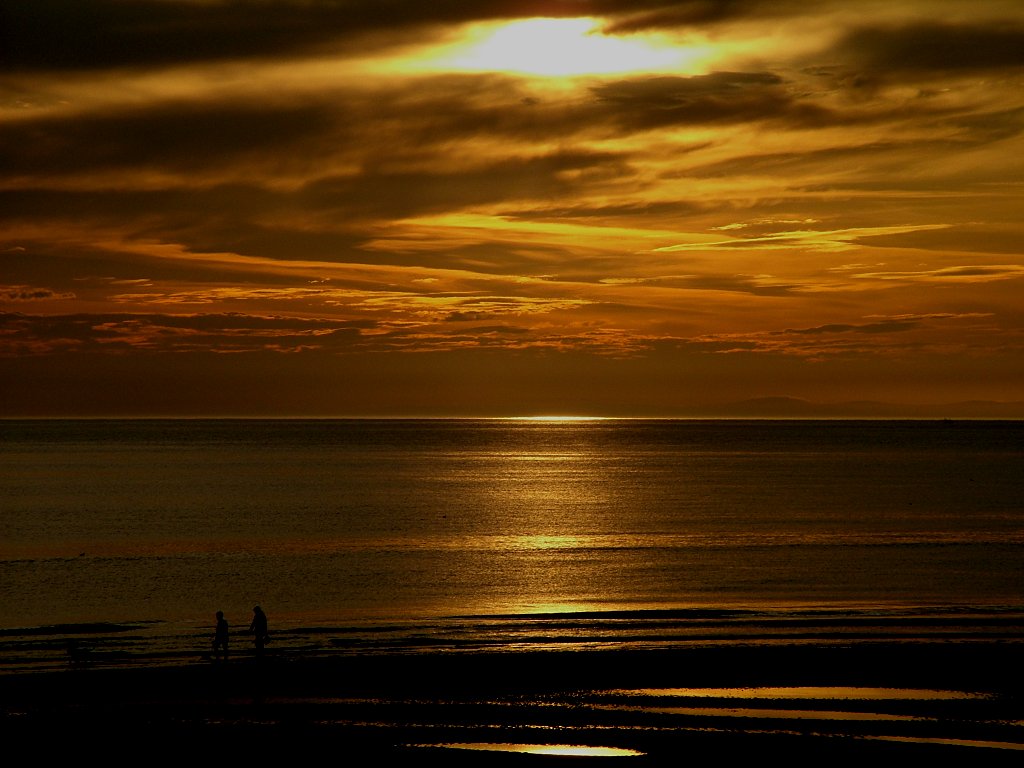 Click now to see this image full size.