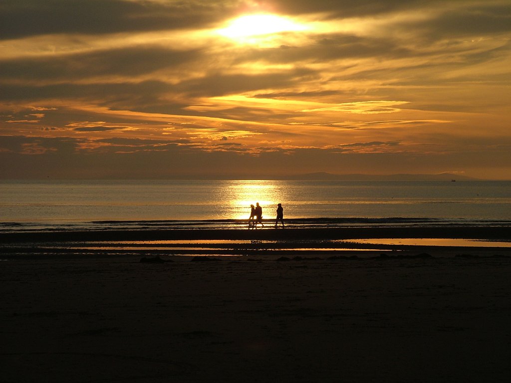 Click now to see this image full size.